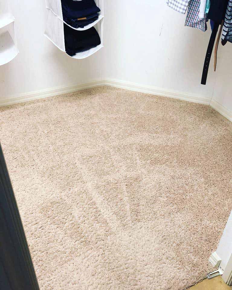 Carpet Protectant Parrish Fl