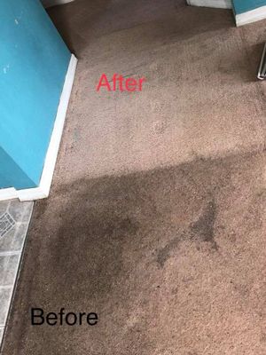Badley Stained Carpet Before And After Stain Removal
