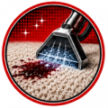Stain Removal Icon