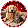 Pet Odor Removal Icon