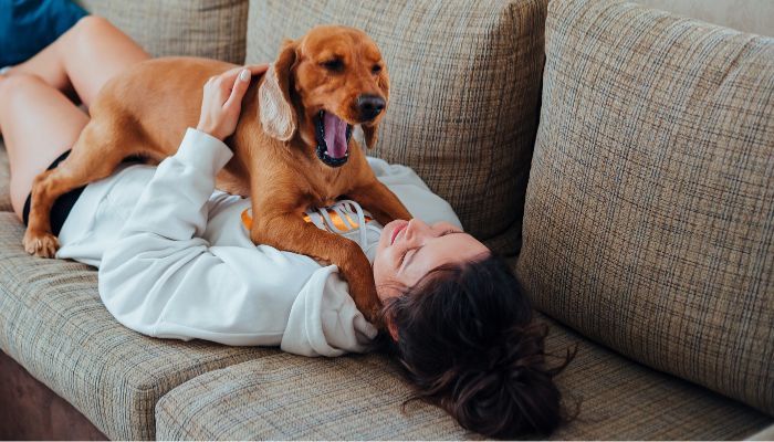 What is the average cost of Odor Removal in Palmetto?