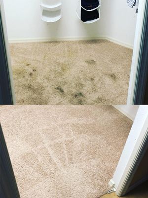 Before And After Stain Removal Gulf City Fl