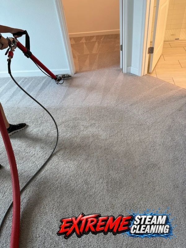 Carpet Cleaning Results 1