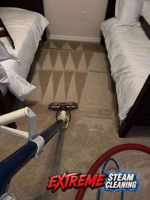 Carpet Cleaning Near You