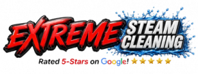 Extreme Steam Cleaning Logo