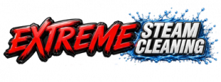 Extreme Steam Cleaning Logo